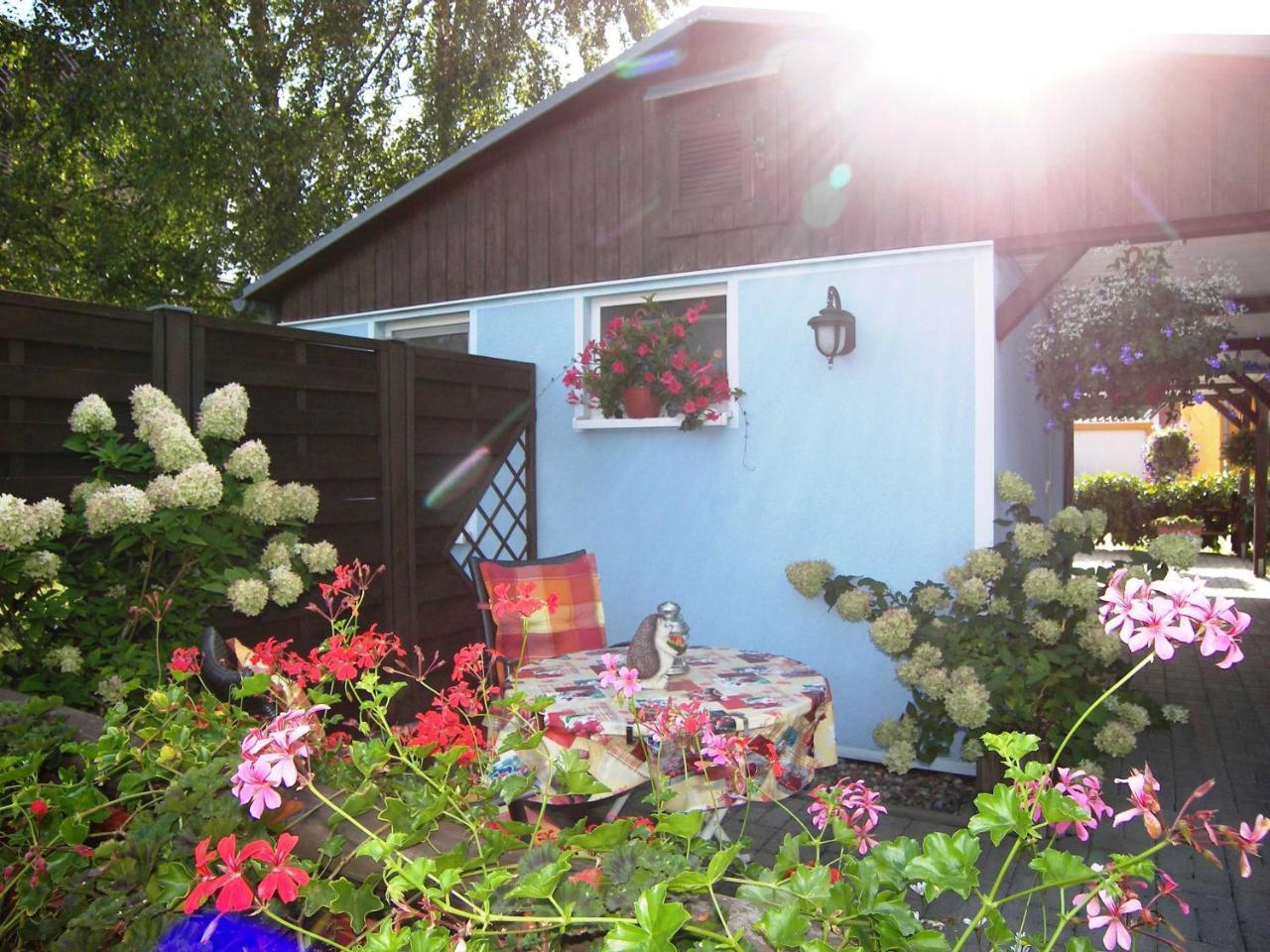 Apartament Goetze Petra Zinnowitz Zewnętrze zdjęcie
